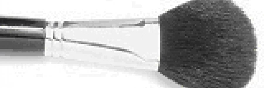 מהי מברשת טובה ואיך נשמור עליה ?