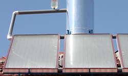 דודי שמש ירושלים