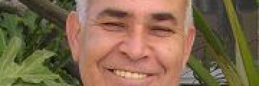 אריק נופים יועץ כלכלי