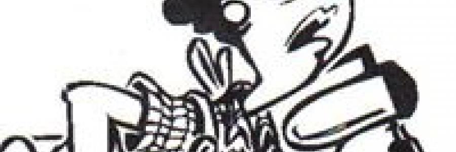 איילת גרינברג- לצאת מהבלגן