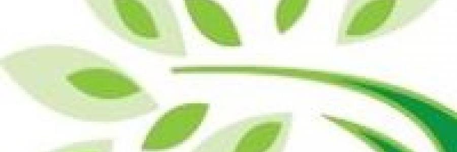 קורת גג- המרכז לאדריכלות החיים