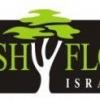 מכללת CashFlow Israel