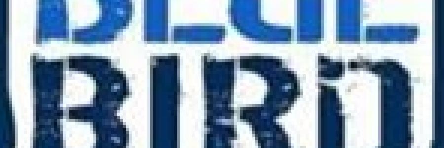 בלו ברד Blue Bird