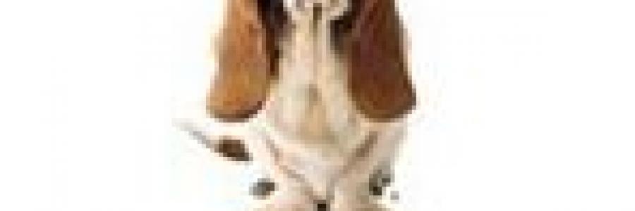 האש פאפיס Hush Puppies