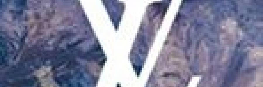 לואי ויטון LOUIS VUITTON