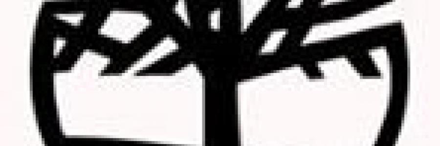 טימברלנד Timberland