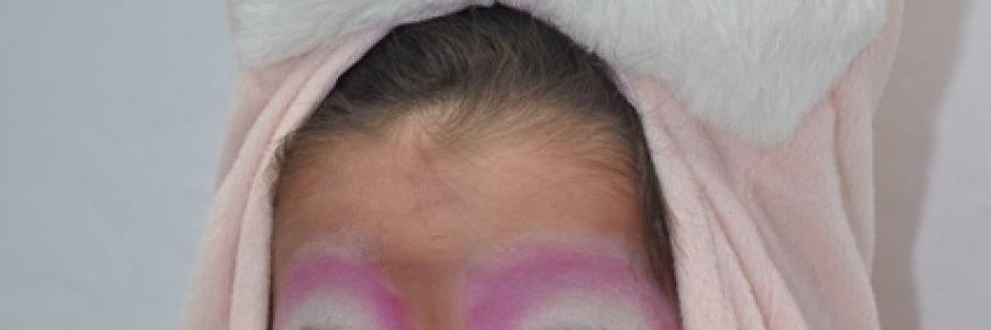 איפור שפן לפורים