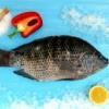 דג אמנון טרי- ערכים תזונתיים