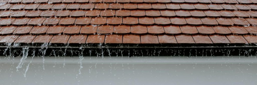 כיצד שומרים על גג הבית בחורף?