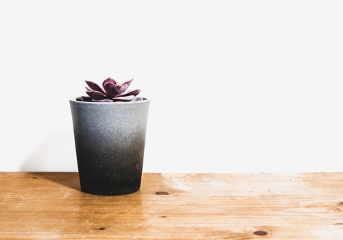 איך משלבים שולחן סלון מודרני בסלון