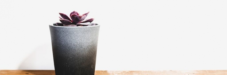 איך משלבים שולחן סלון מודרני בסלון